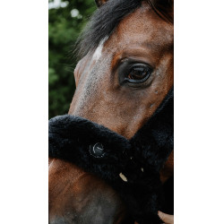 Licol Je t'aime Equithème Snuggy Noir