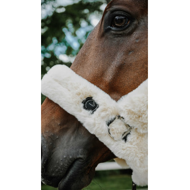 Licol Je t'aime Equithème Snuggy Écru Blanc