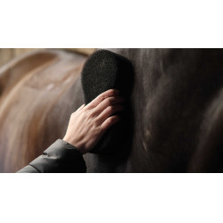 Éponge Lami-Cell Shine scrubber Noir