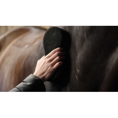 Éponge Lami-Cell Shine scrubber Noir