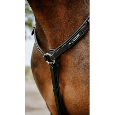 Collier de chasse Endurance Norton Pop Noir