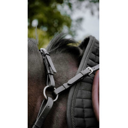 Collier de chasse Endurance Norton Pop Noir