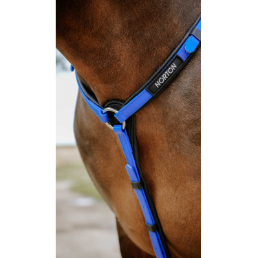 Collier de chasse Endurance Norton Pop Bleu roi