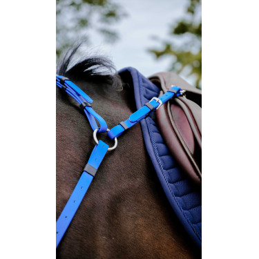 Collier de chasse Endurance Norton Pop Bleu roi