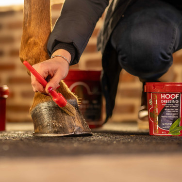 Kevin Bacon's Hoof Dressing Hiver graisse à pied