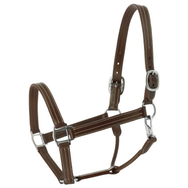 Licol Norton US Havane Marron