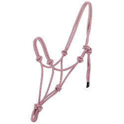 Licol éthologique Norton Glim Rose / argent