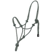 Licol éthologique Norton Glim Vert clair / argent