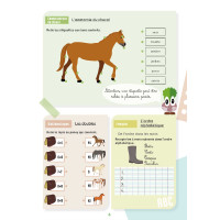 Mon Cahier d'Activités Lavauzelle Niveau CP