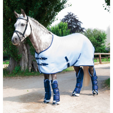 Chemise micro Jersey T de T Bleu ciel