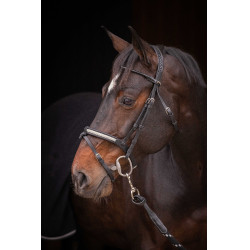 Bridon Pénélope Symphonie Noir