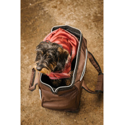 Sac de pansage à roulettes Equithème Marron