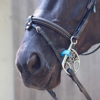 Mors espagnol Metalab Flexi droit Bleu