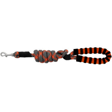 Laisse pour chien avec poignée Equithème Haspen Noir / poignée orange Laisse pour chien avec poignée Equithème Haspen Noir / poignée orange