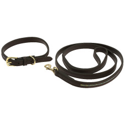 Collier et laisse pour chien Equithème Max Marron