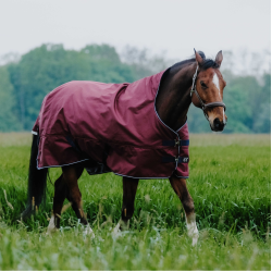 Couverture Equithème TYREX 1200D High Neck Bordeaux