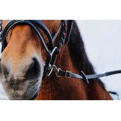 Rênes caoutchouc Norton Training PVC Noir