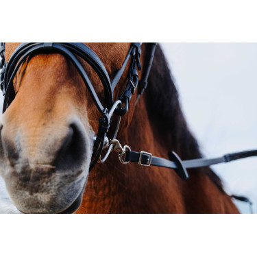 Rênes caoutchouc Norton Training PVC Noir