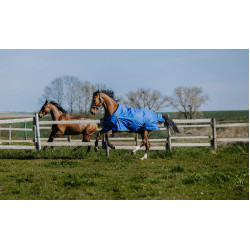 Couverture Equithème Tyrex Aisance 1200D Bleu roi