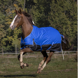 Couverture Equithème Tyrex Aisance 1200D Bleu roi Couverture Equithème Tyrex Aisance 1200D Bleu roi