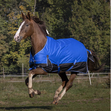 Couverture Equithème Tyrex Aisance 1200D Bleu roi Couverture Equithème Tyrex Aisance 1200D Bleu roi
