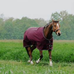 Couverture Equithème Tyrex 1200D Bordeaux