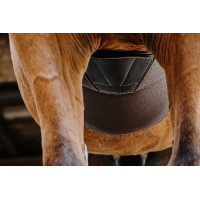 Sangle bavette Magnet Norton Havane Marron Sangle bavette Magnet Norton Havane Marron