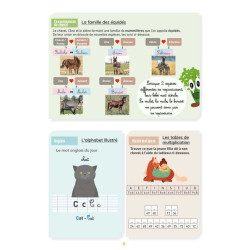 Mon Cahier d'Activités Niveau CM2 Lavauzelle Mon Cahier d'Activités Niveau CM2 Lavauzelle