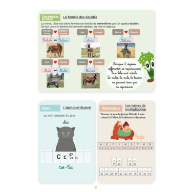 Mon Cahier d'Activités Niveau CM2 Lavauzelle Mon Cahier d'Activités Niveau CM2 Lavauzelle