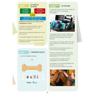 Mon Cahier d'Activités Niveau CM1 Lavauzelle