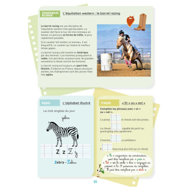 Mon Cahier d'Activités Niveau CE2 Lavauzelle