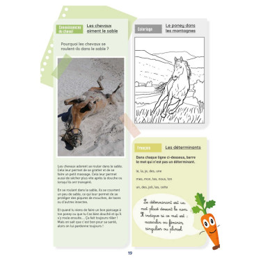 Mon Cahier d'Activités Niveau CE1 Lavauzelle