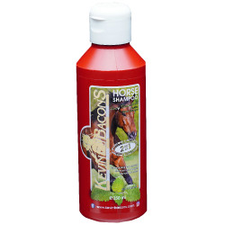 Shampoing Lucy diamonds Kevin Bacon's