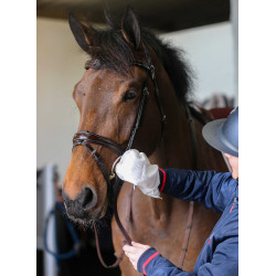 Gants de nettoyage Belvoir® Carr & Day & Martin Tack Cleaner Blanc Gants de nettoyage Belvoir® Carr & Day & Martin Tack Cleaner Blanc