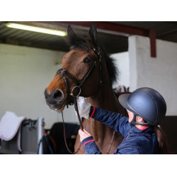 Gants de nettoyage Belvoir® Carr & Day & Martin Tack Cleaner Blanc Gants de nettoyage Belvoir® Carr & Day & Martin Tack Cleaner Blanc