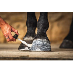 Huile pour sabots Carr & Day & Martin Daily Hoof Moisturiser Cornucrescine