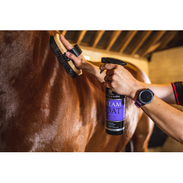 Lustrant Carr & Day & Martin Dreamcoat