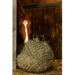 Filet à foin Hippotonic Zari Vert / argenté