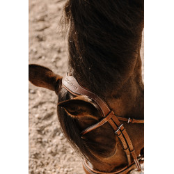 Bridon Eric Thomas Visby Havane Marron