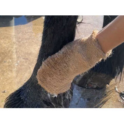 Shampooing Animaderm Tea Tree