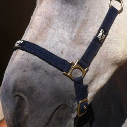 Régénérant Animaderm Cutene Régénérant Animaderm Cutene