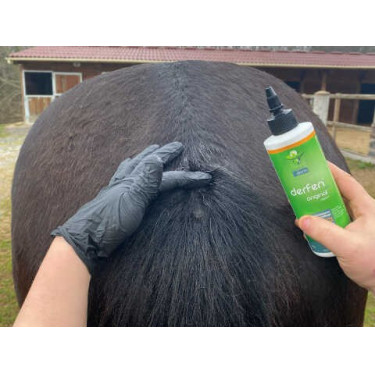 Lotion Animaderm Original