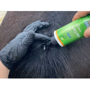 Lotion Animaderm Original