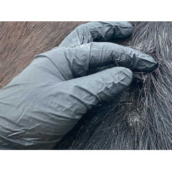 Lotion Animaderm Original