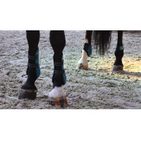 Guêtres avec protège-boulets Lami-Cell Elite Bleu roi