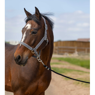 Licol Equithème Nylon light