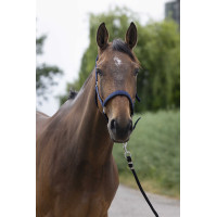 Licol Norton Satine Noir Licol Norton Satine Noir