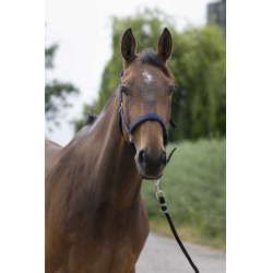 Licol Norton Satine Bleu marine