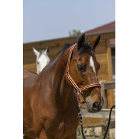 Licol Norton Satine Noir Licol Norton Satine Noir