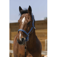 Licol Norton Satine Bleu ciel / noir Licol Norton Satine Bleu ciel / noir